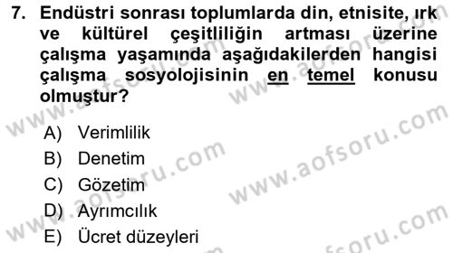 Çalışma Sosyolojisi Dersi Ara Sınavı Deneme Sınav Soruları 7. Soru
