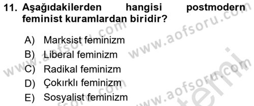 Çalışma Sosyolojisi Dersi 2024 - 2025 Yılı (Final) Dönem Sonu Sınav Soruları 11. Soru