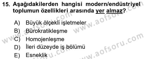 Çalışma Sosyolojisi Dersi 2024 - 2025 Yılı (Final) Dönem Sonu Sınav Soruları 15. Soru