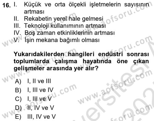 Çalışma Sosyolojisi Dersi 2024 - 2025 Yılı (Final) Dönem Sonu Sınav Soruları 16. Soru