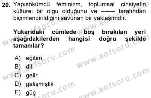 Çalışma Sosyolojisi Dersi 2024 - 2025 Yılı (Final) Dönem Sonu Sınav Soruları 20. Soru