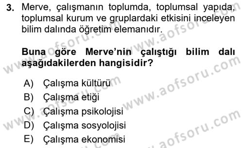Çalışma Sosyolojisi Dersi 2024 - 2025 Yılı (Final) Dönem Sonu Sınav Soruları 3. Soru
