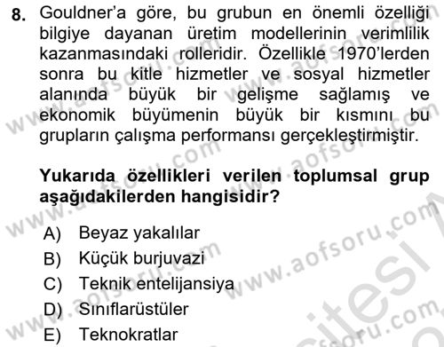 Çalışma Sosyolojisi Dersi 2024 - 2025 Yılı (Final) Dönem Sonu Sınav Soruları 8. Soru