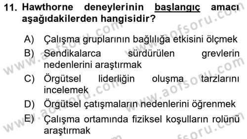 Çalışma Sosyolojisi Dersi 2024 - 2025 Yılı Yaz Okulu Sınav Soruları 11. Soru