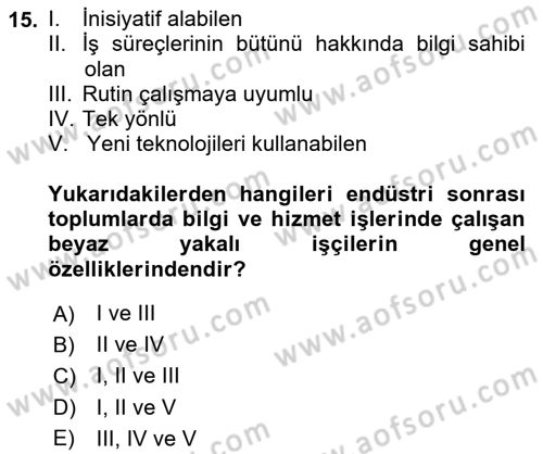 Çalışma Sosyolojisi Dersi 2024 - 2025 Yılı Yaz Okulu Sınav Soruları 15. Soru
