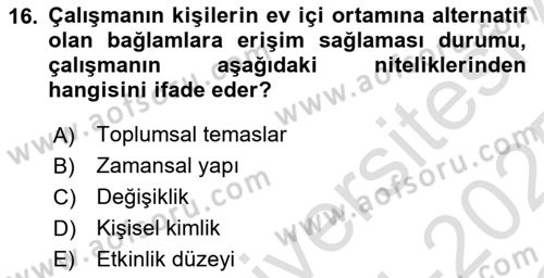 Çalışma Sosyolojisi Dersi 2024 - 2025 Yılı Yaz Okulu Sınav Soruları 16. Soru