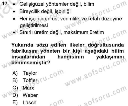 Çalışma Sosyolojisi Dersi 2024 - 2025 Yılı Yaz Okulu Sınav Soruları 17. Soru