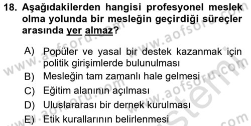 Çalışma Sosyolojisi Dersi 2024 - 2025 Yılı Yaz Okulu Sınav Soruları 18. Soru