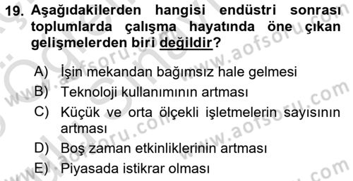 Çalışma Sosyolojisi Dersi 2024 - 2025 Yılı Yaz Okulu Sınav Soruları 19. Soru