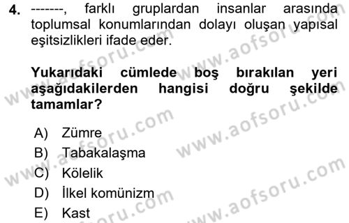 Çalışma Sosyolojisi Dersi 2024 - 2025 Yılı Yaz Okulu Sınav Soruları 4. Soru