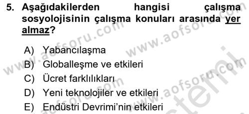 Çalışma Sosyolojisi Dersi 2024 - 2025 Yılı Yaz Okulu Sınav Soruları 5. Soru