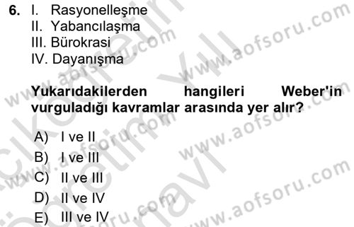 Çalışma Sosyolojisi Dersi 2024 - 2025 Yılı Yaz Okulu Sınav Soruları 6. Soru