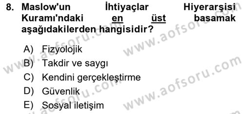 Çalışma Sosyolojisi Dersi 2024 - 2025 Yılı Yaz Okulu Sınav Soruları 8. Soru