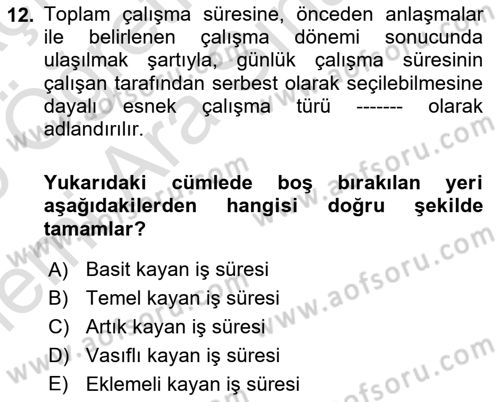 Çalışma Sosyolojisi Dersi 2025 - 2026 Yılı (Vize) Ara Sınav Soruları 12. Soru