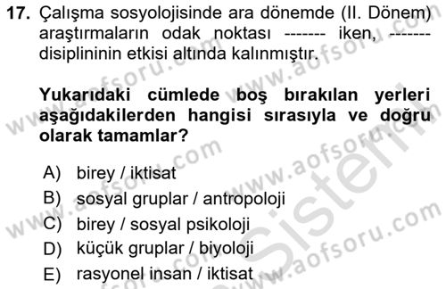 Çalışma Sosyolojisi Dersi 2025 - 2026 Yılı (Vize) Ara Sınav Soruları 17. Soru
