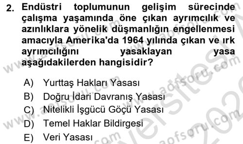 Çalışma Sosyolojisi Dersi 2025 - 2026 Yılı (Vize) Ara Sınav Soruları 2. Soru