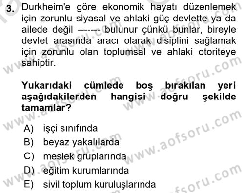 Çalışma Sosyolojisi Dersi 2025 - 2026 Yılı (Vize) Ara Sınav Soruları 3. Soru