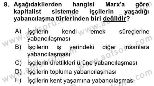 Çalışma Sosyolojisi Dersi 2025 - 2026 Yılı (Vize) Ara Sınav Soruları 8. Soru