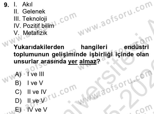 Çalışma Sosyolojisi Dersi 2025 - 2026 Yılı (Vize) Ara Sınav Soruları 9. Soru