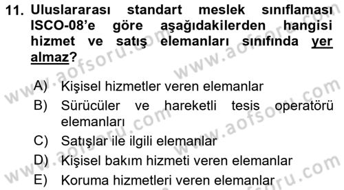 Çalışma Sosyolojisi Dersi 2025 - 2026 Yılı (Final) Dönem Sonu Sınav Soruları 11. Soru