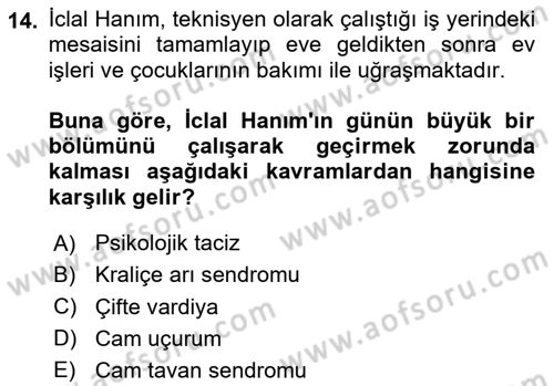 Çalışma Sosyolojisi Dersi 2025 - 2026 Yılı (Final) Dönem Sonu Sınav Soruları 14. Soru