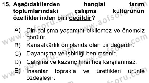 Çalışma Sosyolojisi Dersi 2025 - 2026 Yılı (Final) Dönem Sonu Sınav Soruları 15. Soru
