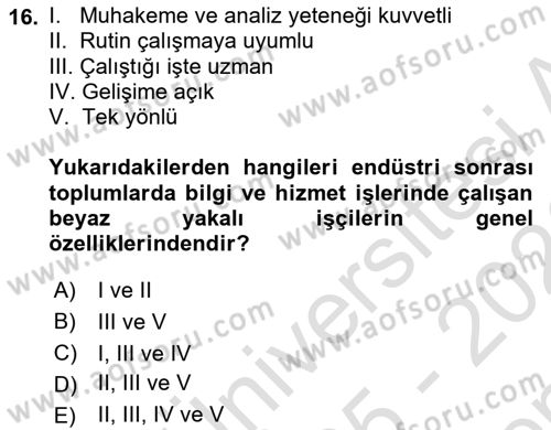 Çalışma Sosyolojisi Dersi 2025 - 2026 Yılı (Final) Dönem Sonu Sınav Soruları 16. Soru