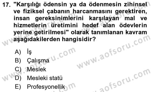 Çalışma Sosyolojisi Dersi 2025 - 2026 Yılı (Final) Dönem Sonu Sınav Soruları 17. Soru