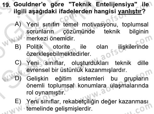 Çalışma Sosyolojisi Dersi 2025 - 2026 Yılı (Final) Dönem Sonu Sınav Soruları 19. Soru