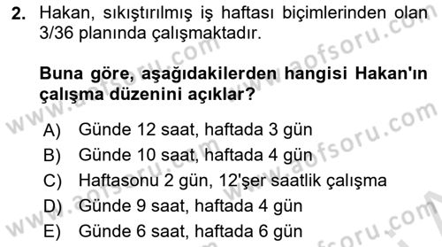 Çalışma Sosyolojisi Dersi 2025 - 2026 Yılı (Final) Dönem Sonu Sınav Soruları 2. Soru