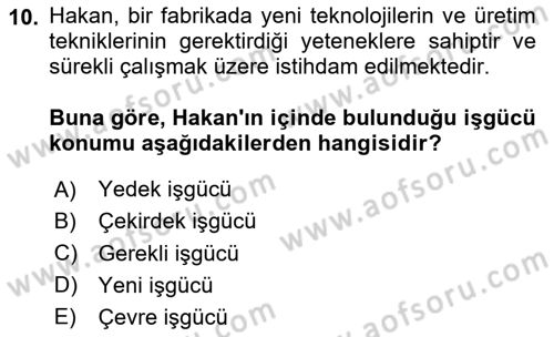 Çalışma Sosyolojisi Dersi 2025 - 2026 Yılı Yaz Okulu Sınav Soruları 10. Soru