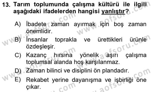Çalışma Sosyolojisi Dersi 2025 - 2026 Yılı Yaz Okulu Sınav Soruları 13. Soru