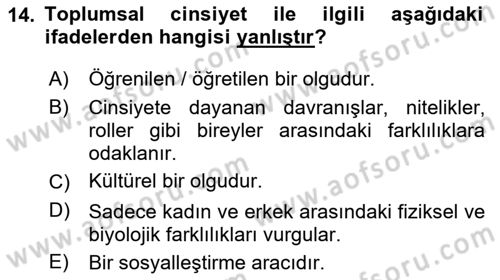 Çalışma Sosyolojisi Dersi 2025 - 2026 Yılı Yaz Okulu Sınav Soruları 14. Soru