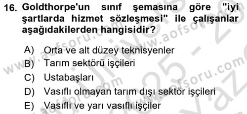 Çalışma Sosyolojisi Dersi 2025 - 2026 Yılı Yaz Okulu Sınav Soruları 16. Soru