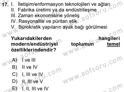 Çalışma Sosyolojisi Dersi 2025 - 2026 Yılı Yaz Okulu Sınav Soruları 17. Soru