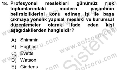 Çalışma Sosyolojisi Dersi 2025 - 2026 Yılı Yaz Okulu Sınav Soruları 18. Soru