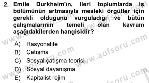 Çalışma Sosyolojisi Dersi 2025 - 2026 Yılı Yaz Okulu Sınav Soruları 2. Soru
