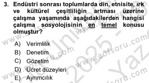 Çalışma Sosyolojisi Dersi 2025 - 2026 Yılı Yaz Okulu Sınav Soruları 3. Soru