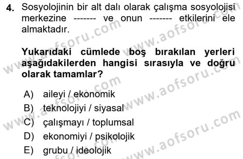 Çalışma Sosyolojisi Dersi 2025 - 2026 Yılı Yaz Okulu Sınav Soruları 4. Soru