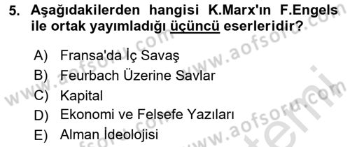 Çalışma Sosyolojisi Dersi 2025 - 2026 Yılı Yaz Okulu Sınav Soruları 5. Soru
