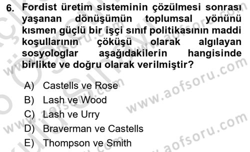 Çalışma Sosyolojisi Dersi 2025 - 2026 Yılı Yaz Okulu Sınav Soruları 6. Soru