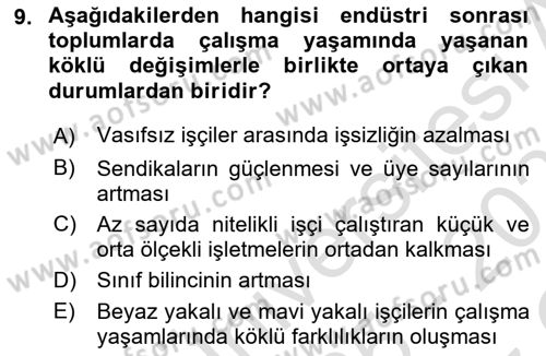 Çalışma Sosyolojisi Dersi 2025 - 2026 Yılı Yaz Okulu Sınav Soruları 9. Soru