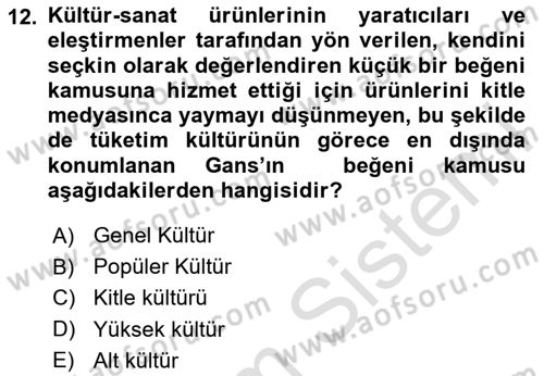 Tüketim Sosyolojisi Dersi 2020 - 2021 Yılı Yaz Okulu Sınav Soruları 12. Soru