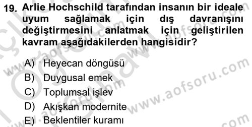 Tüketim Sosyolojisi Dersi 2020 - 2021 Yılı Yaz Okulu Sınav Soruları 19. Soru