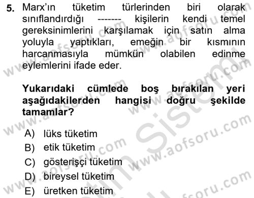 Tüketim Sosyolojisi Dersi 2021 - 2022 Yılı (Vize) Ara Sınav Soruları 5. Soru