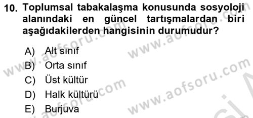 Tüketim Sosyolojisi Dersi 2021 - 2022 Yılı Yaz Okulu Sınavı 10. Soru