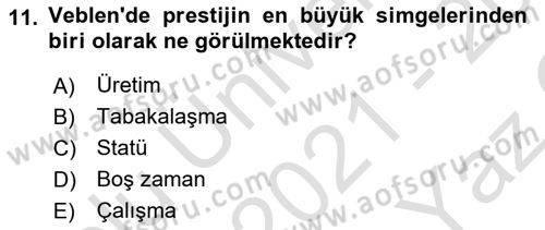 Tüketim Sosyolojisi Dersi 2021 - 2022 Yılı Yaz Okulu Sınavı 11. Soru