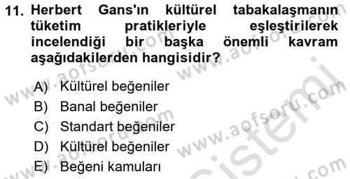 Tüketim Sosyolojisi Dersi 2022 - 2023 Yılı Yaz Okulu Sınav Soruları 11. Soru