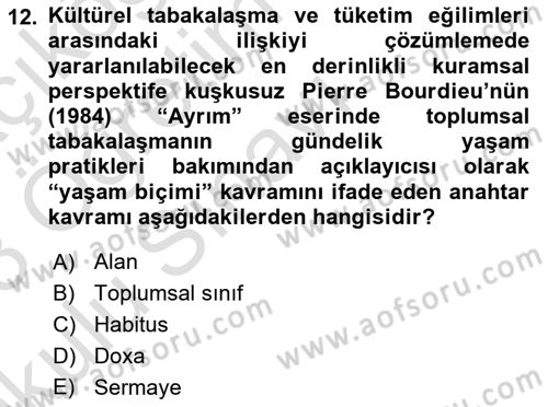 Tüketim Sosyolojisi Dersi 2022 - 2023 Yılı Yaz Okulu Sınav Soruları 12. Soru