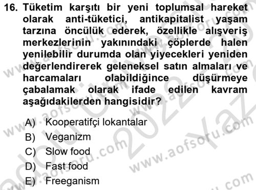 Tüketim Sosyolojisi Dersi 2022 - 2023 Yılı Yaz Okulu Sınav Soruları 16. Soru